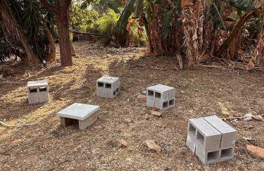 Jardim dos Sentidos no Lago Sul - Foto 58