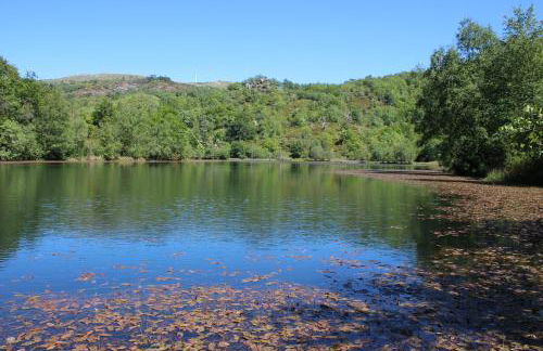 Casa do Castanheiro - Foto 8