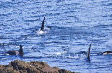 Midgarth House Apartments - Foto 26