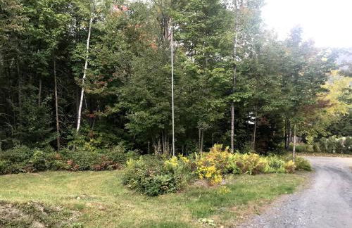 Dreamy Artist Chalet in Secluded Historic Village - Photo 30