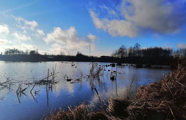 Nice Chalet by the Woods in Saint-leger - Foto 27