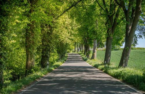 K357 - Ferienwohnung - Moin Moin - Pönitz - Scharbeutz - Foto 31