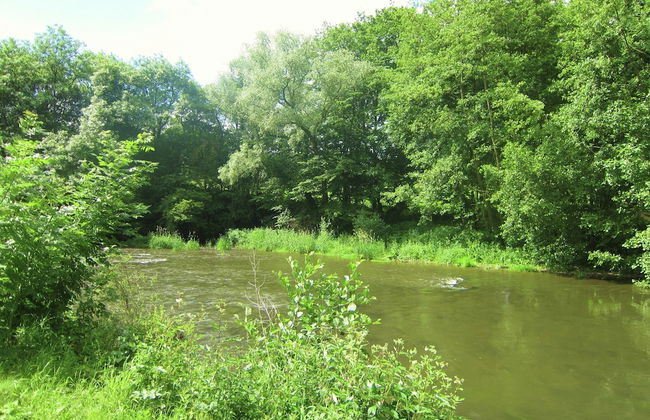 Apartment Near Forest and Hiking Trails - Foto 31