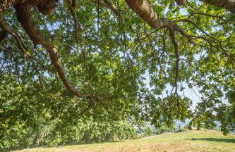 Casa Castel'Rei - Photo 35