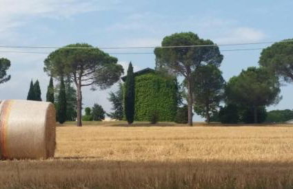 La Mimosa - Photo 35