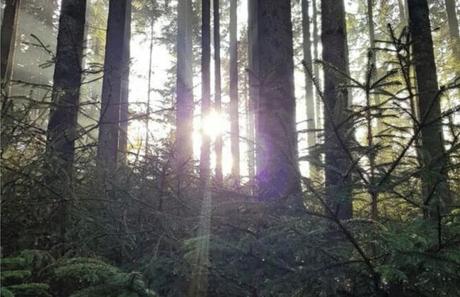 Frankenwaldhaus Comfortable Holiday Residence - Foto 6