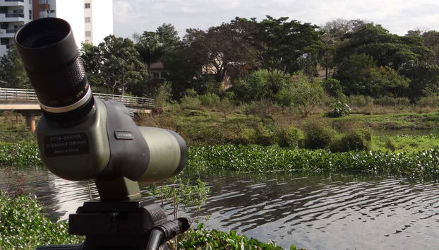 Posadas Tour & Birdwatching - Foto 2