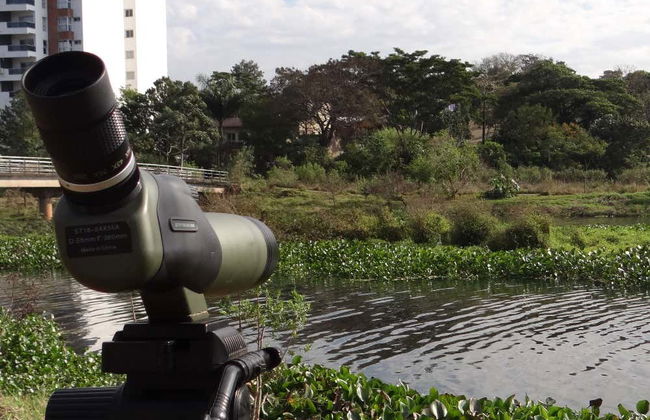 Posadas Tour & Birdwatching - Foto 2
