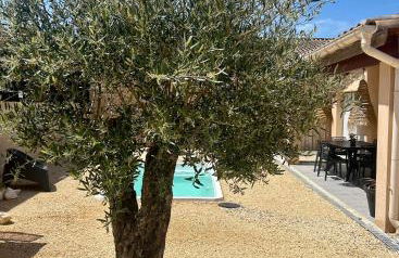 Maison au calme avec piscine Vallon Pont d'Arc - Foto 7