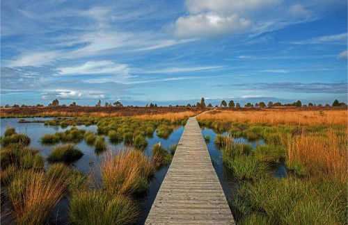 Apartment Am Fluss im Haus An der Rur - Foto 17