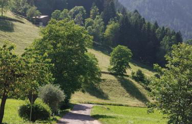 Il Maso del Nonno - Foto 43