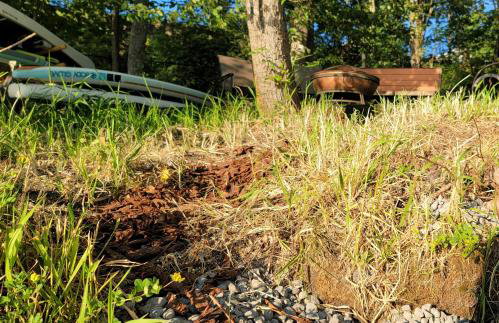 C19 Conscious, QUIET, ADULT Lake View Rental - Foto 46