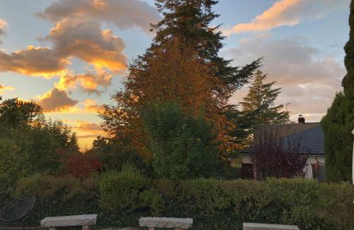 Villa Aurelia - Casa de campo con jardín y piscina entre Madrid y Segovia - Photo 31