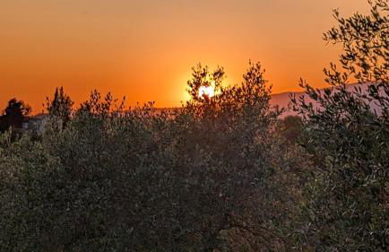 Agriturismo Amici Miei - Foto 26