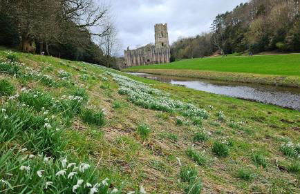 Folly View - Private, peaceful apartment with stunning views. - Foto 50