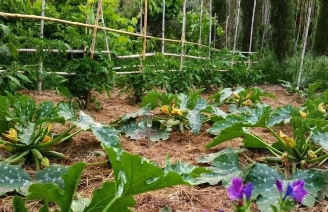 Casa Orsoni - Photo 57