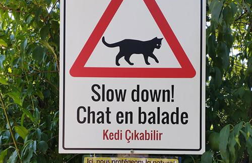 Le Nid du Chat Noir - Gîte La Maison Alvéole - Foto 26