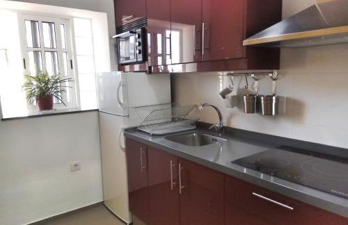 Phoenix Canariensis - Foto 9