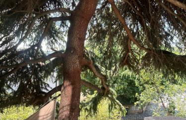 Locavilla - Saint-Hilaire - Foto 19