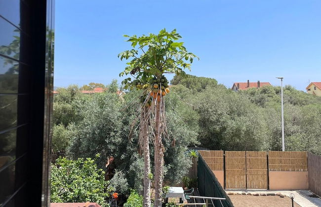 Rustico D Amare in Quartu Santa Elena - Foto 13