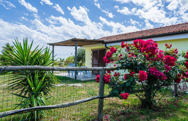 Agriturismo Il Roseto - Foto 62