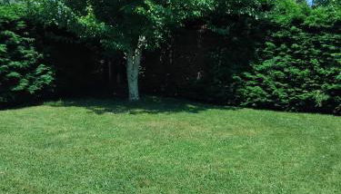 Le Studio La Plage à 350m Le Centre à 500m - Foto 5