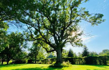 Familienoase an der Ostsee - Foto 14