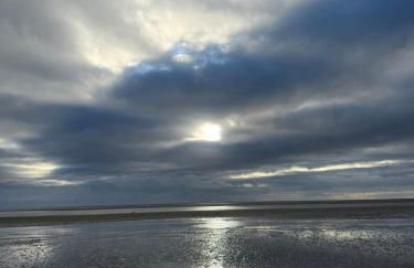 Paws A While - Foto 9