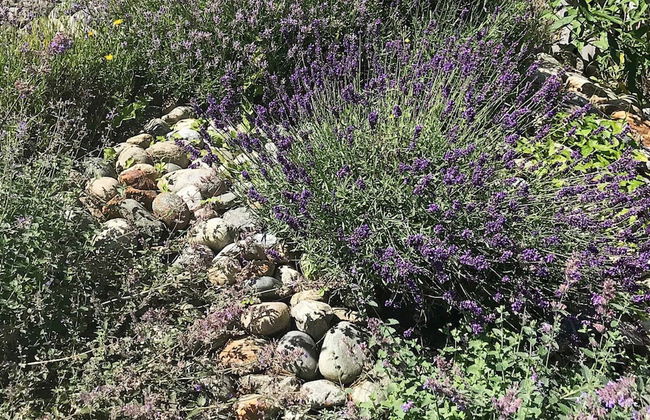 6 Person Holiday Home in Asenfjord-by Traum - Photo 28