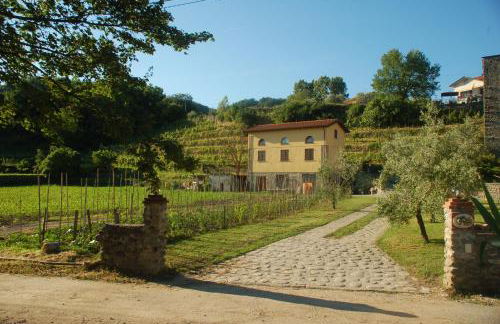 agriturismo il poderetto - Foto 22