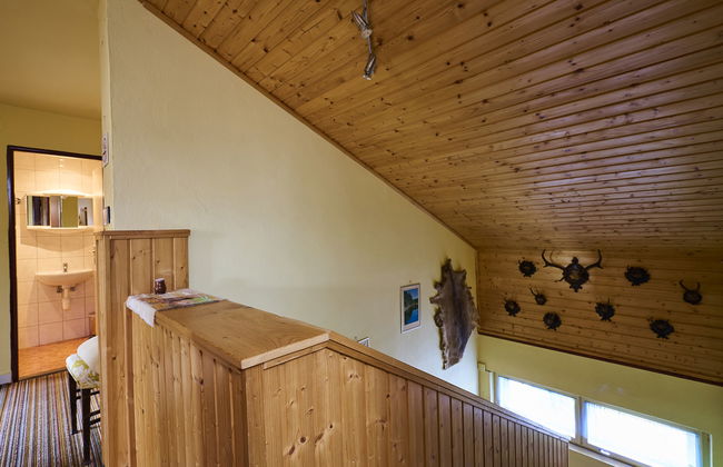 Nový Svět - Foto 11