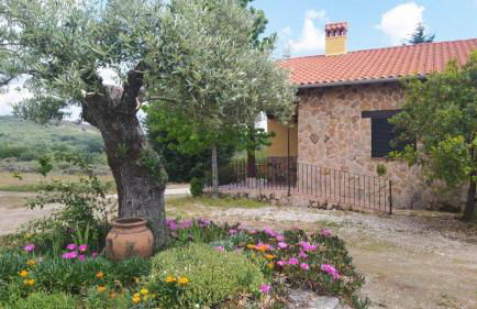 Pago de Yuste - Casa Rural Apartamentos - Foto 5