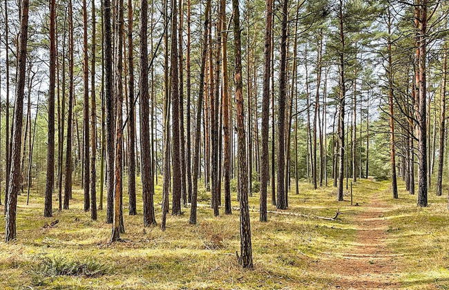 2 Person Holiday Home in Brosarp - Foto 61