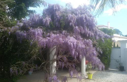 Villa Amadeus Xabia - Foto 38