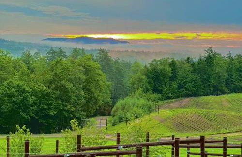 Luxury Farm Stay-Bonds Corner Bungalow-Wolf Pine Hollow - Foto 56