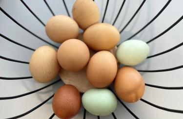 A cottage for two - Photo 26