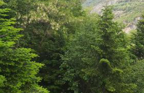 The log house in the village - Foto 12