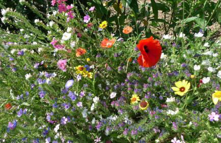 Ferienwohnung Peterberg 22, 45qm - Foto 26