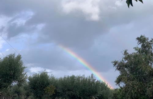 Casa 1-Quinta dos Penedos - Foto 49