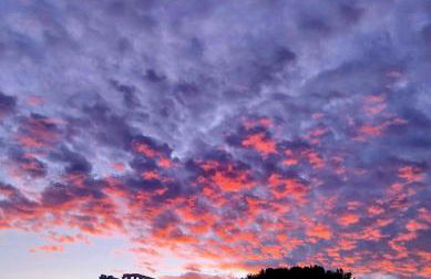 STONE of KAMARIZA - Foto 58