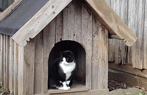 Ferienwohnung 1880 - Foto 26