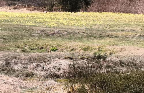 Ferienwohnung Biebes - Foto 23