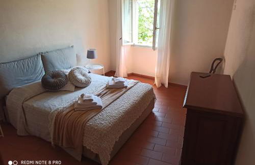 Dépendance in Villa Albachiara - Photo 30