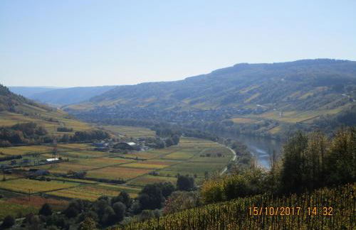 Residenz Moselstausee - Foto 36