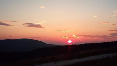 Agriturismo l'Oasi - Foto 5