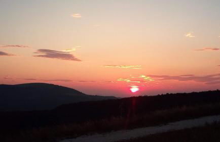 Agriturismo l'Oasi - Foto 5