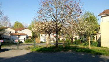 Les Clés Nature Studio 41 - Foto 4, Garden