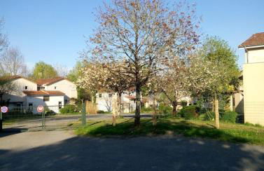 Les Clés Nature Studio 41 - Foto 4