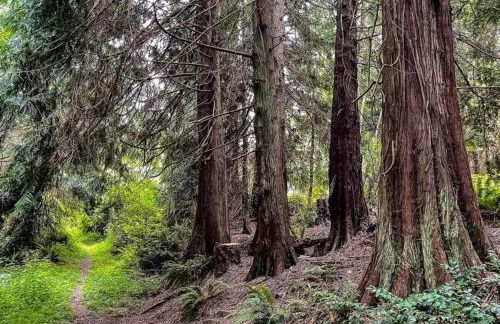 Perch - Island Hideaway - Foto 47