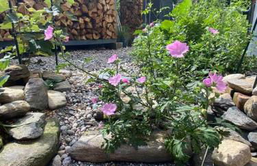 Vermont Lake Whitingham Mount Snow Area Apartment - Foto 35